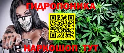 гидра Дубна