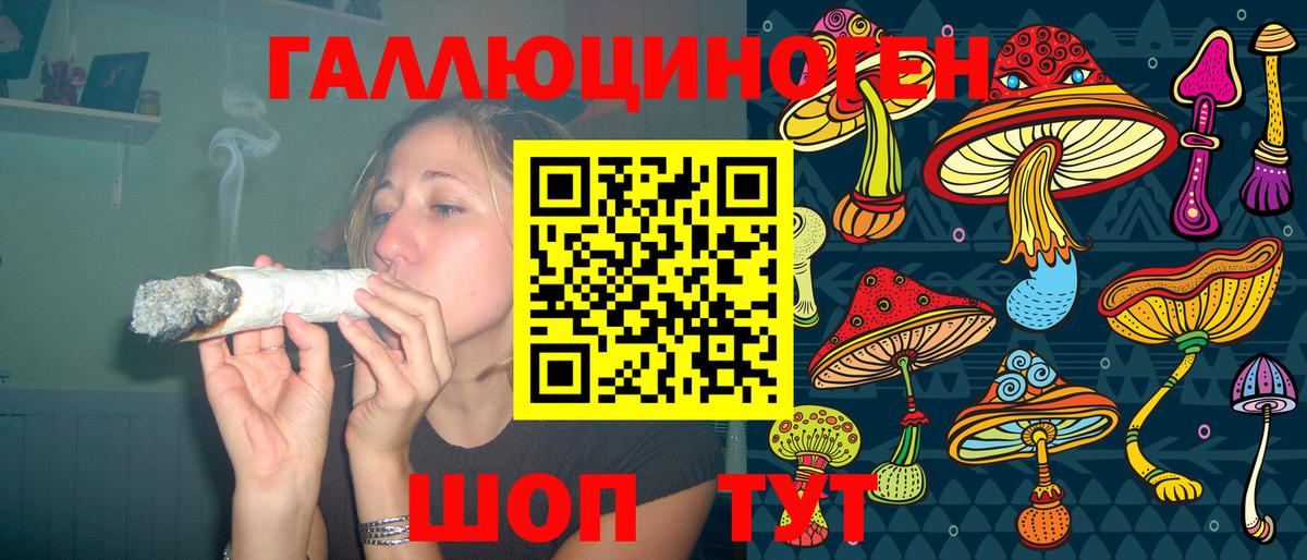 Галлюциногенные грибы Psilocybine cubensis Чернушка