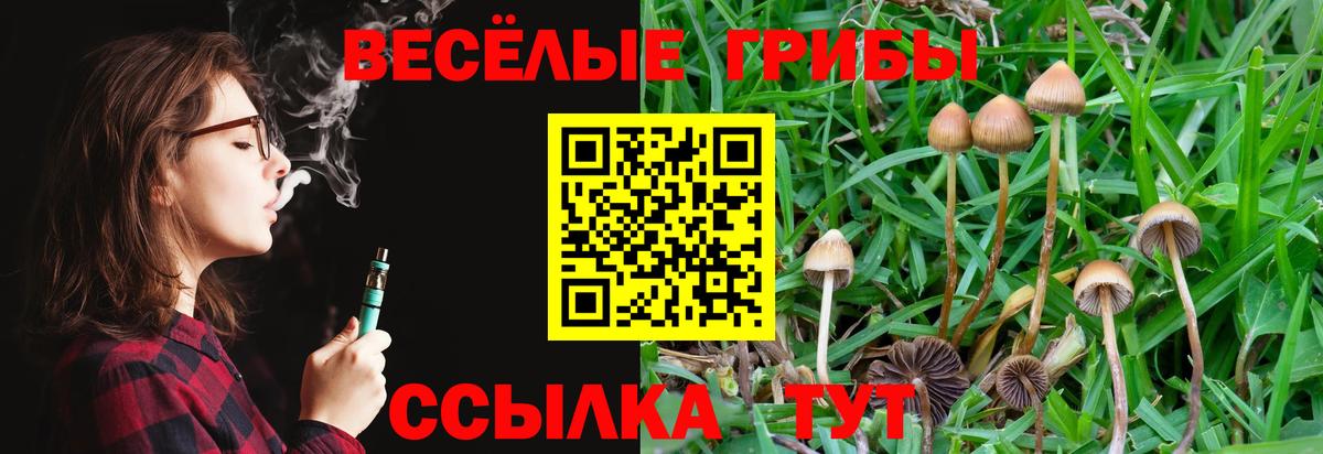 Чернушка  Галлюциногенные грибы Cubensis  Вход с VPN 